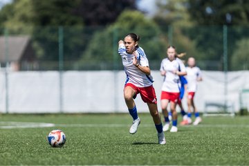Bild 327 - wCJ Hamburger SV - FC Rosengarten : Ergebnis: 1:1